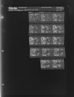 Squirrel in Tree (14 Negatives) (December 21, 1964) [Sleeve 75, Folder d, Box 34]